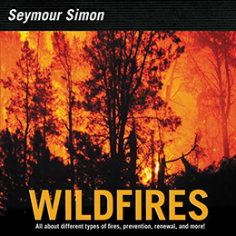 Wildfires by Simon Seymour